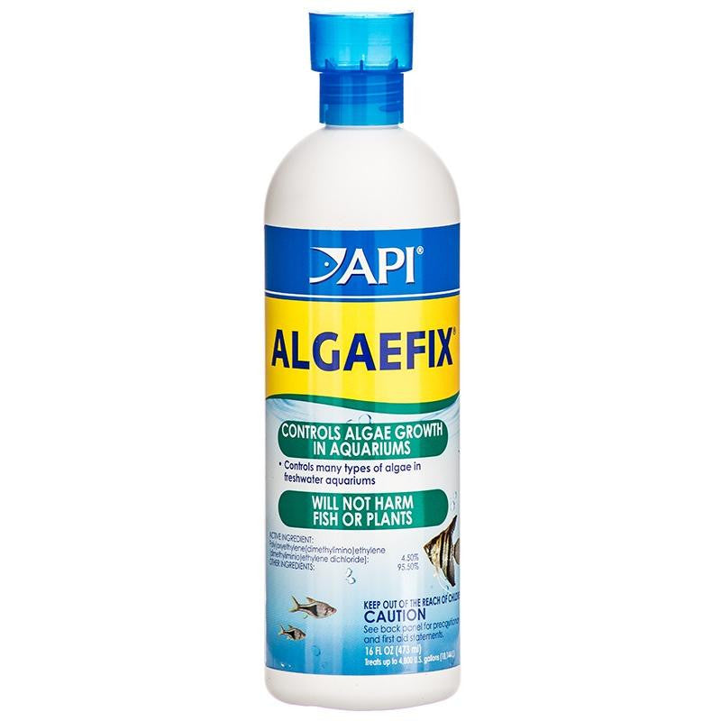 API AlgaeFix - 16 oz