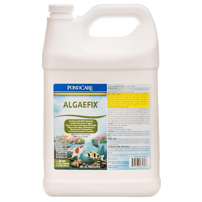 API AlgaeFix - 1 gal