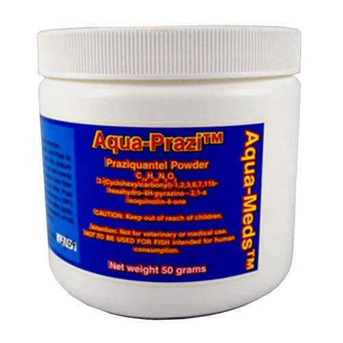AquaMeds Aqua Prazi (Praziquantel) | Koi Med for Flukes | 2 Sizes
