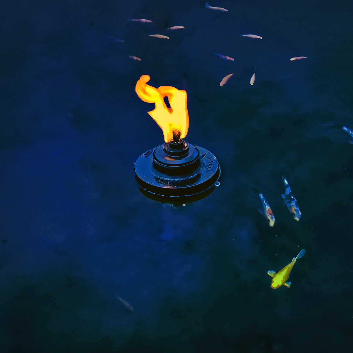 Custom Pro Floating Pond & Pool Tiki Torch| FIRE on WATER!