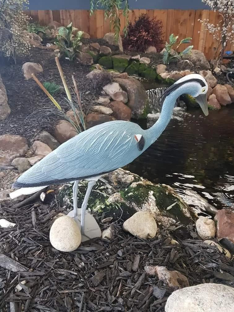 Blue Heron Decoy in use