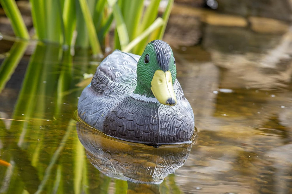 United Aquatic Mallard Duck Family Decoy Set