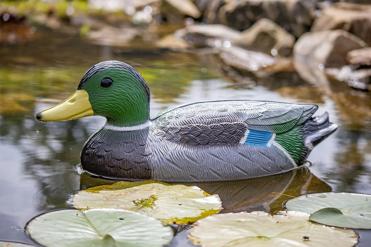 United Aquatic Mallard Duck Family Decoy Set