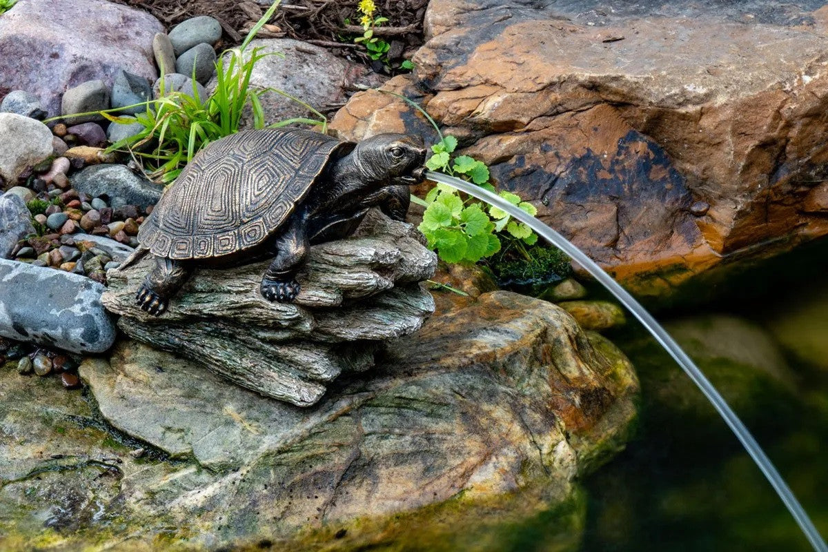 Turtle on Log Spitter In Use