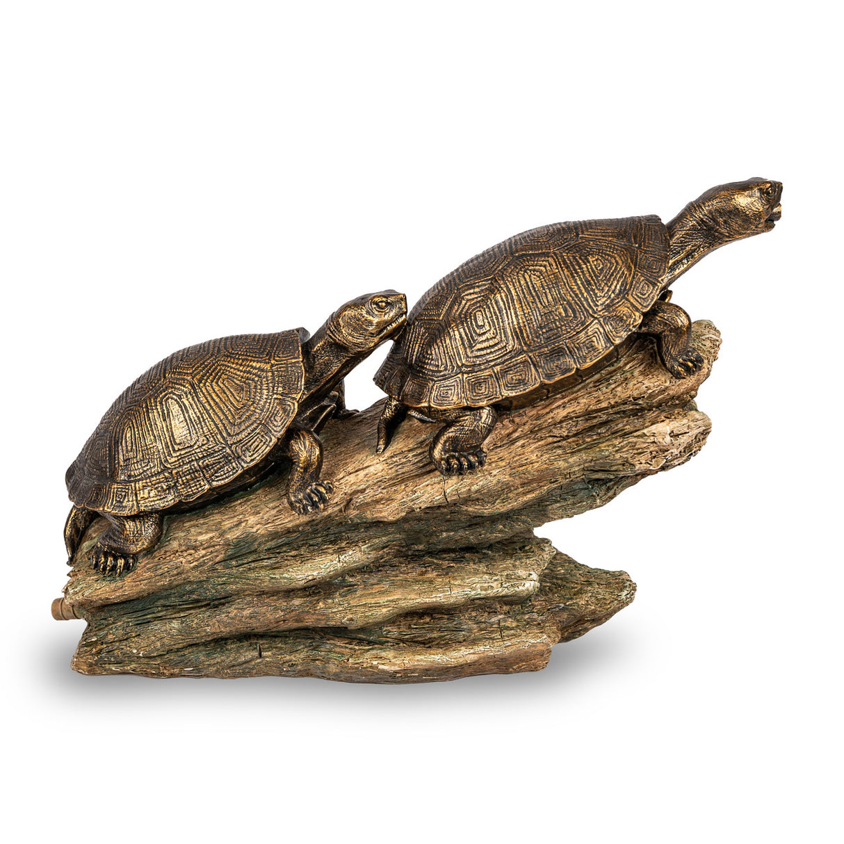 Side View of Turtles