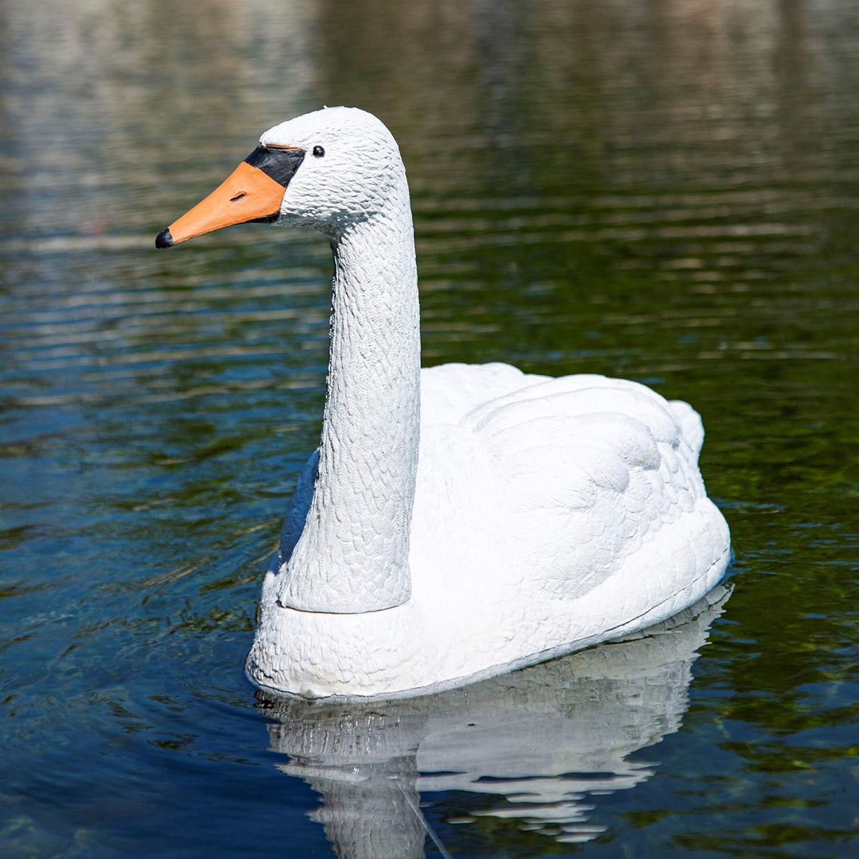 Floating Swan Decoy - In use