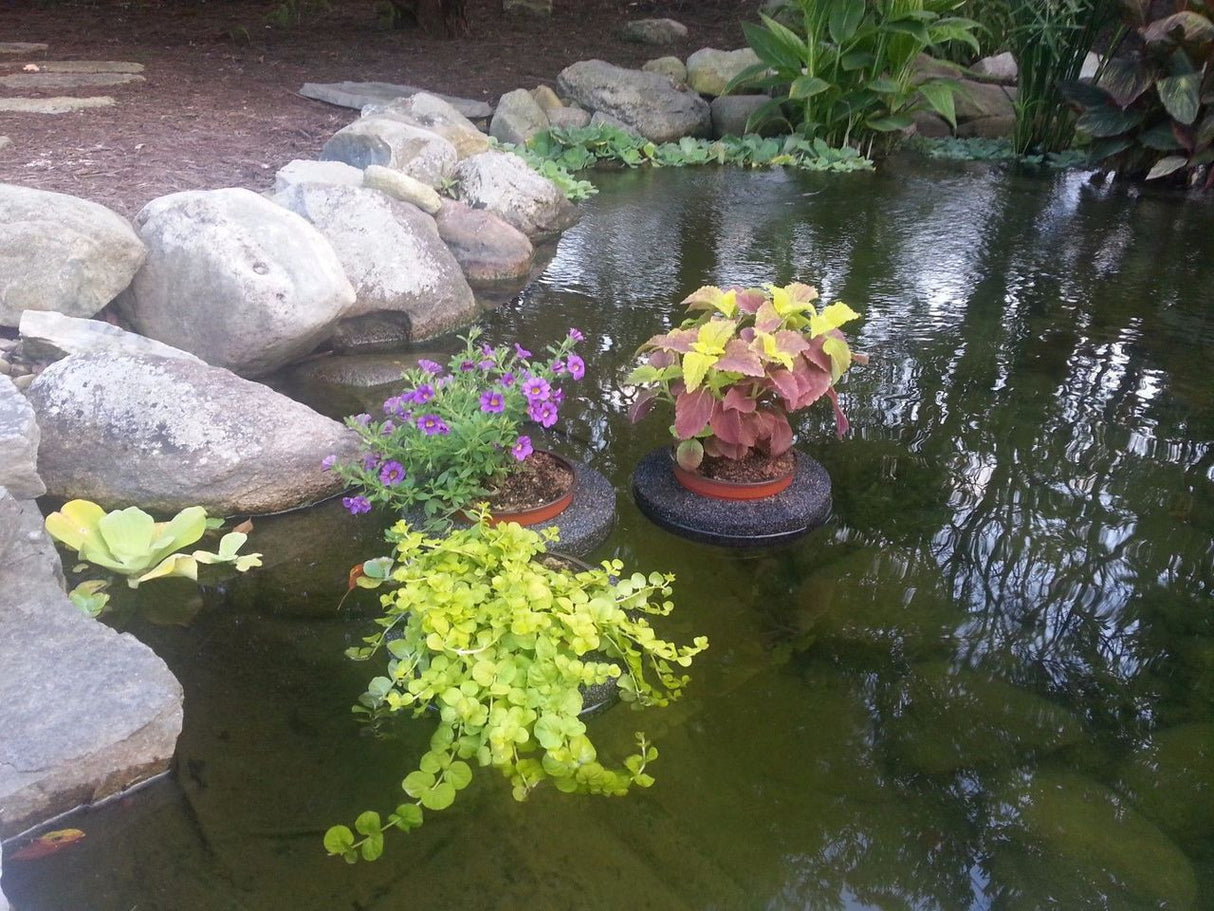 Floating Planter In Use - Million Bells, Coleus, Creeping Jenny
