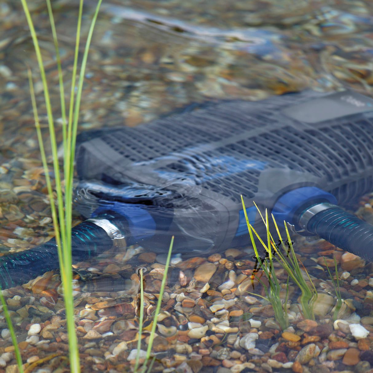 AquaMax Eco Premium Pump - in use in shallow water