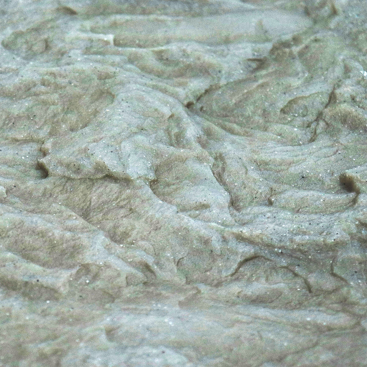 EasyPro CF23FS Texture