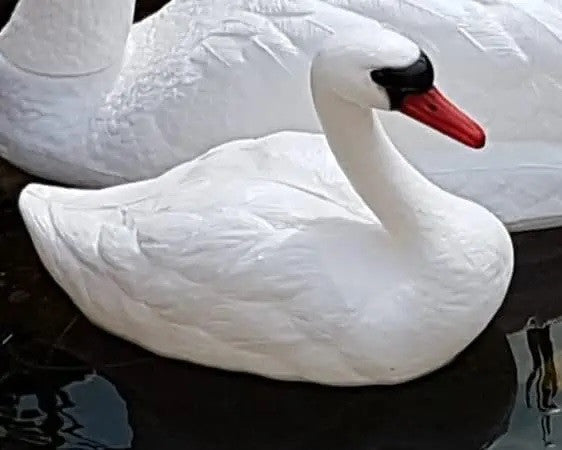Medium White Floating Baby Swan Decoy