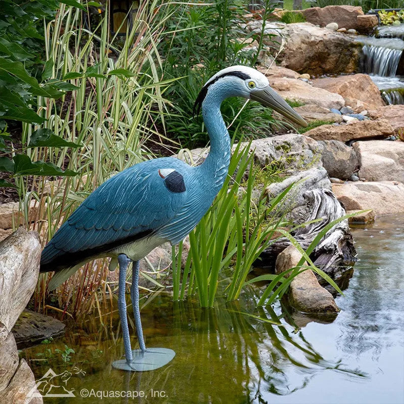 Aquascape 81030 Blue Heron Bird Decoy