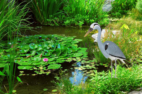 Blue Heron Decoy in use