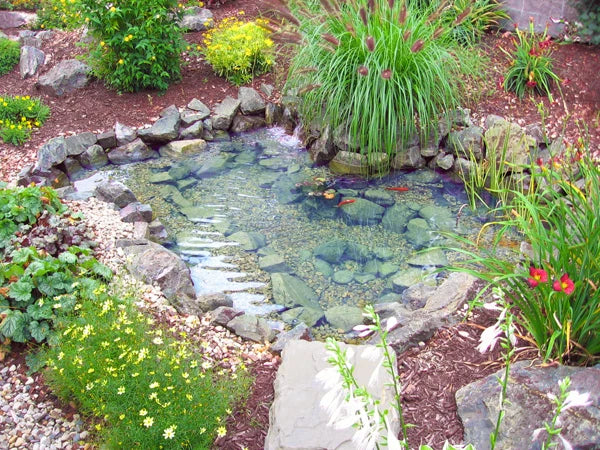 EasyPro - MINI Pond Kit - Complete for 8' X 11' Pond - ET811FB
