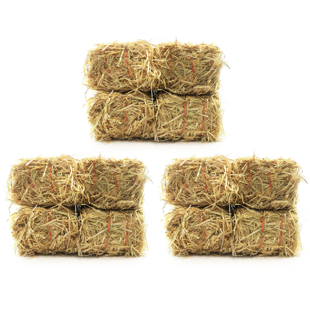 Twelve Bales Barley Pond Straw