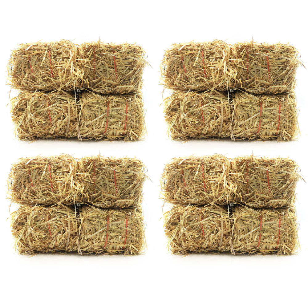 Sixteen Bales Barley Pond Straw