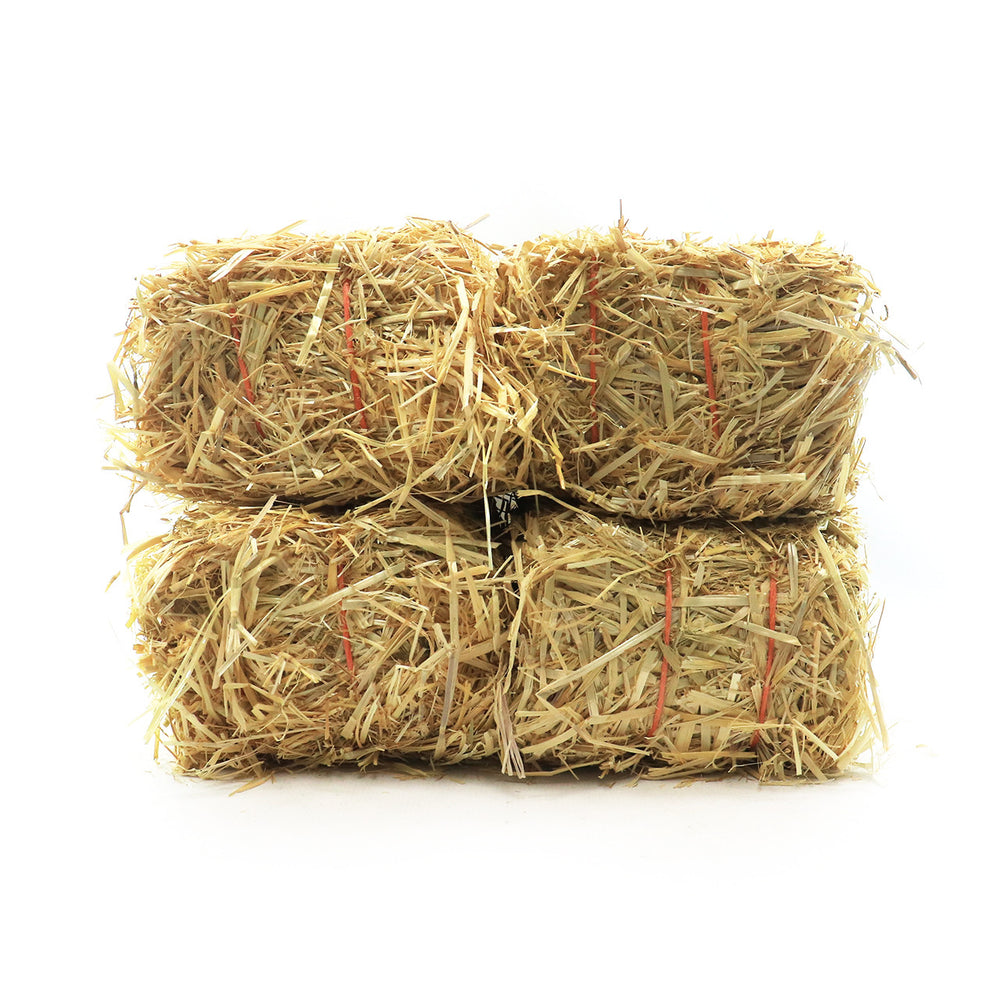 Four Bales Barley Pond Straw