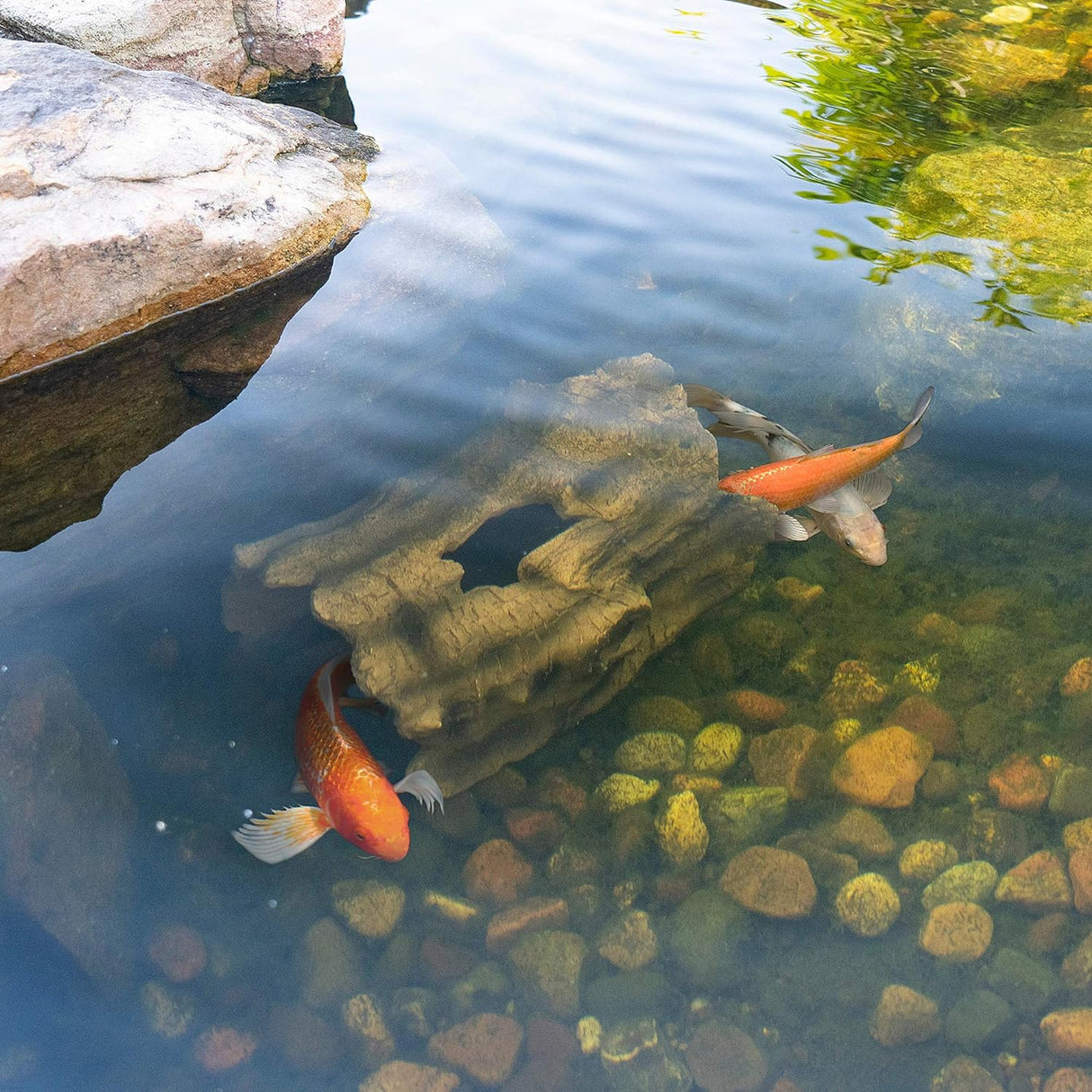 Faux Log Fish Cave- Protecting Koi Fish - In Use