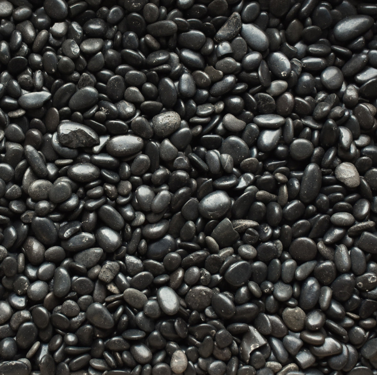 Polished Black Mexican Beach Pebbles (By the Pallet) | Quality Stone