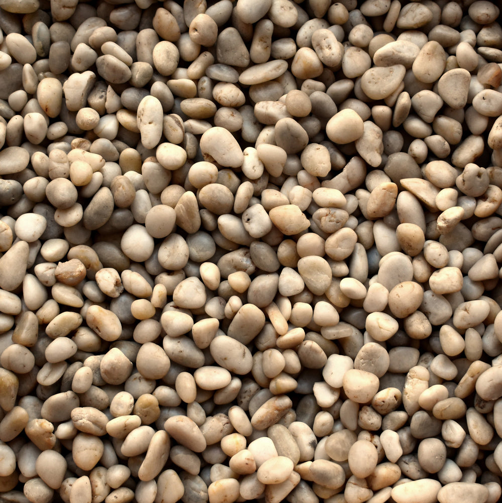 Polished White Imported Beach Pebbles (By the Pallet)