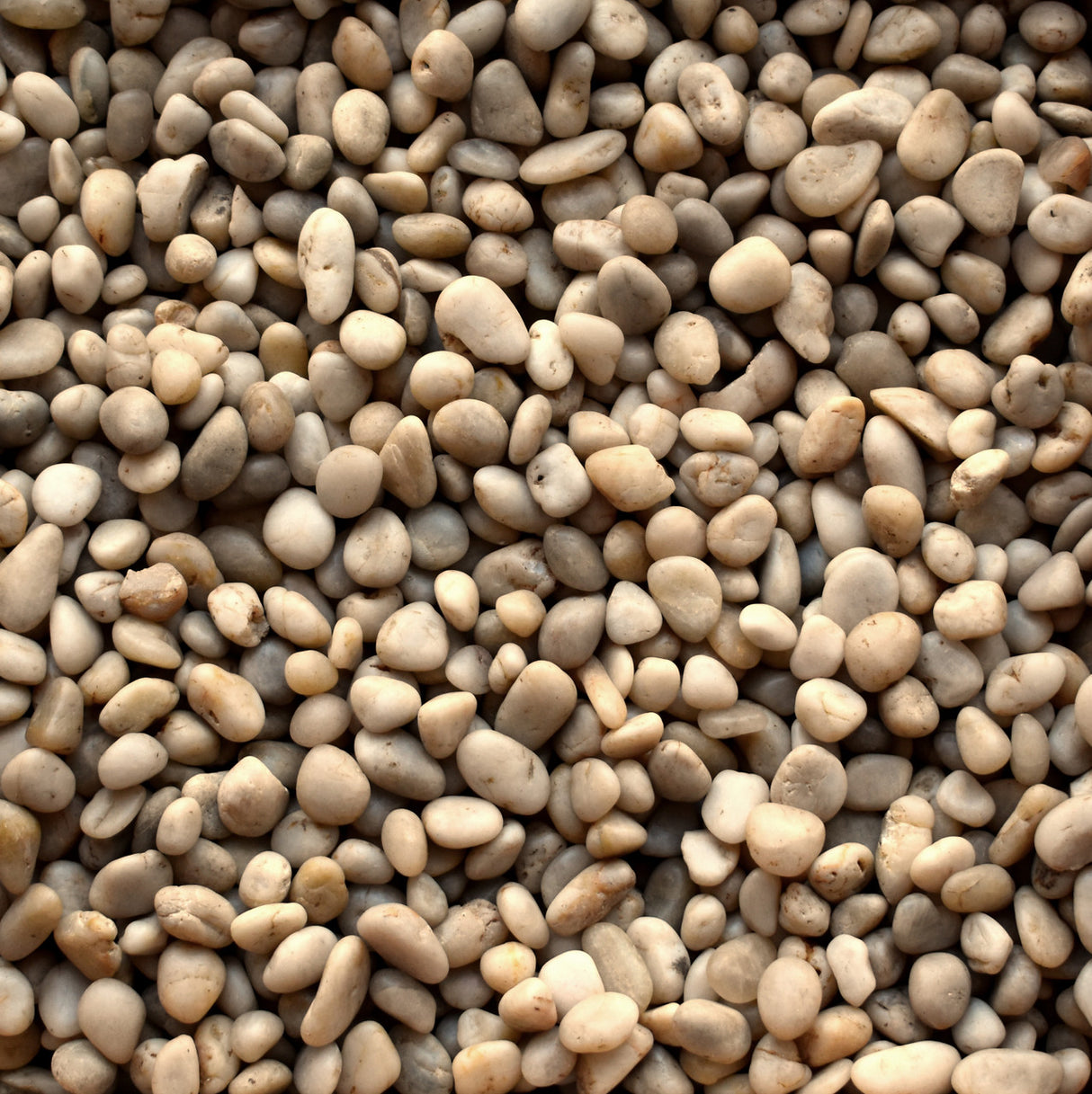 Polished White Imported Beach Pebbles (By the Pallet)