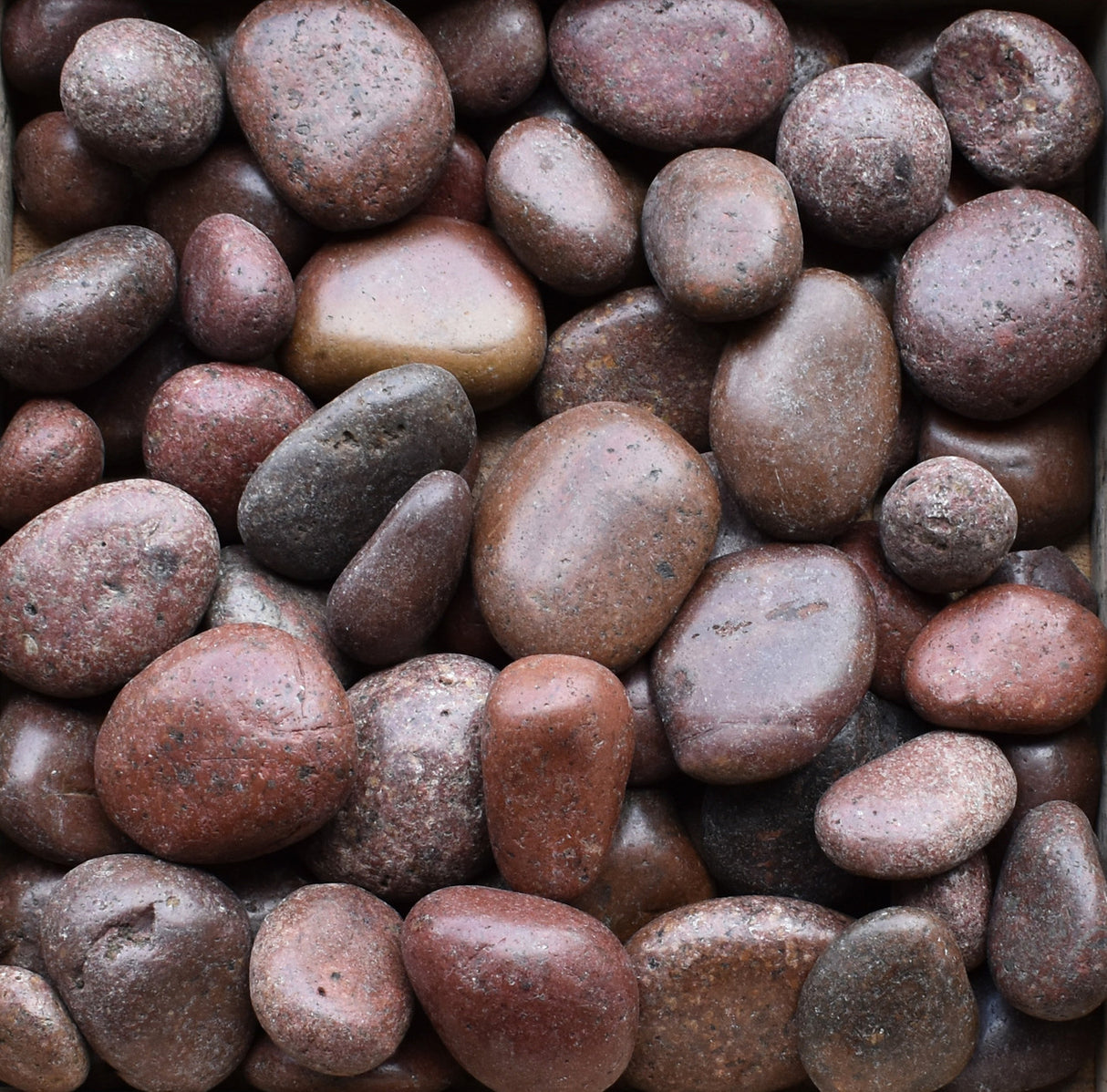 Polished Red Beach Pebbles (By the Pallet) | Full Pallet (2450 lbs.) | Residential | AZ, CO, IA, KS, MN, MT, NE, NM, ND, SD, WY