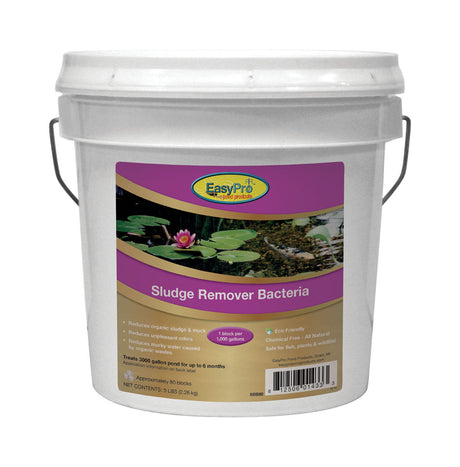 5 lb. pail
