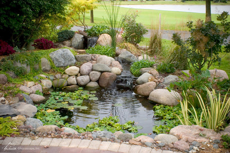 8x11 Aquascape DIY Pond Kit (# 99765) - Installed