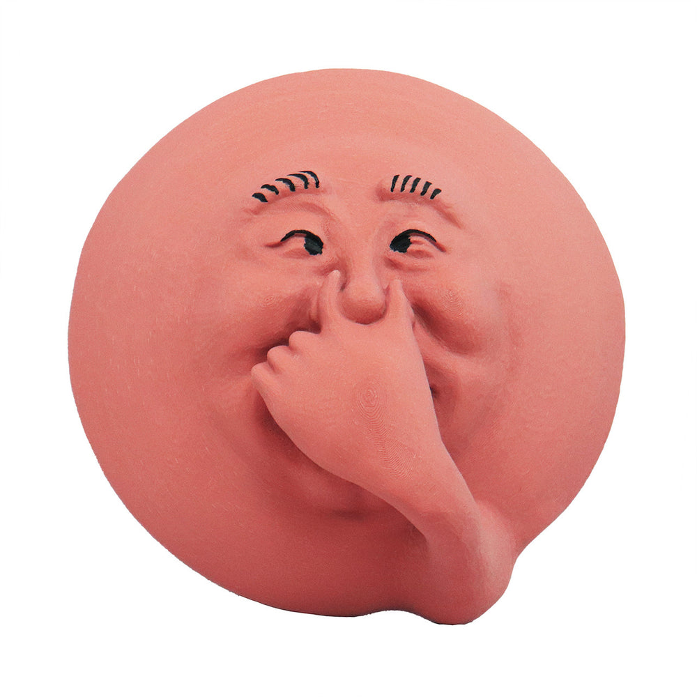 Smelly Face Sam | Funny Wall Decor