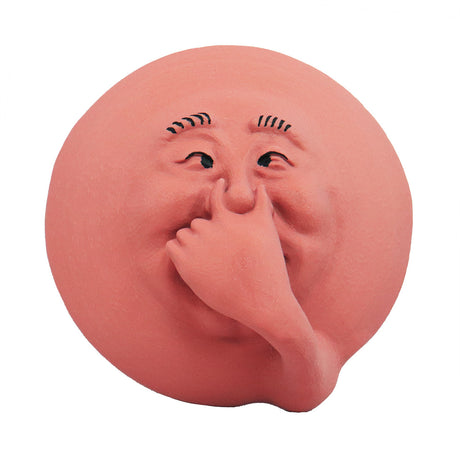 Smelly Face Sam | Funny Wall Decor