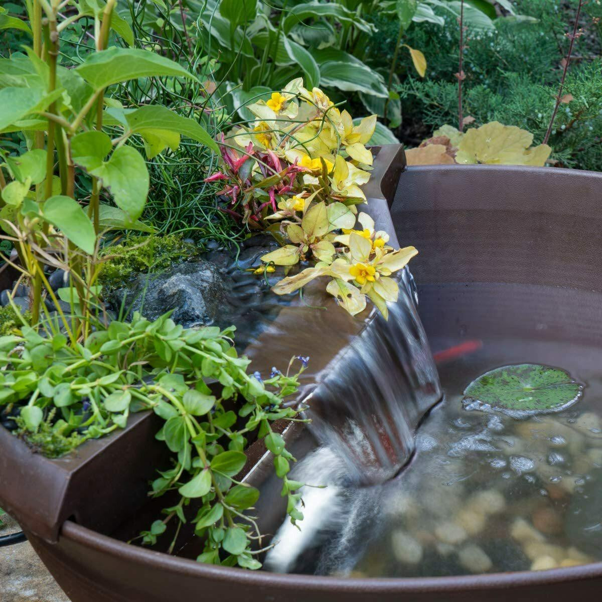 AquaGarden Mocha In Use Close-Up