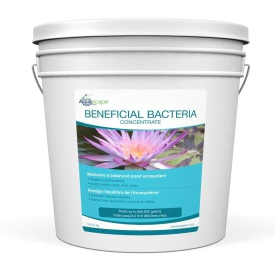 Aquascape Dry Beneficial Bacteria