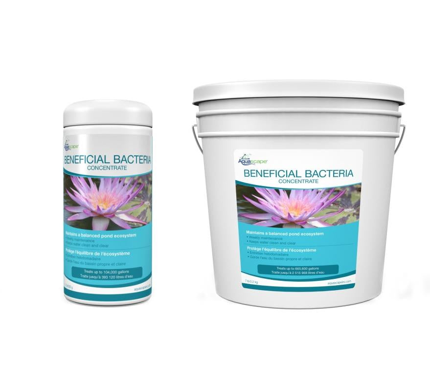 Aquascape Dry Beneficial Bacteria