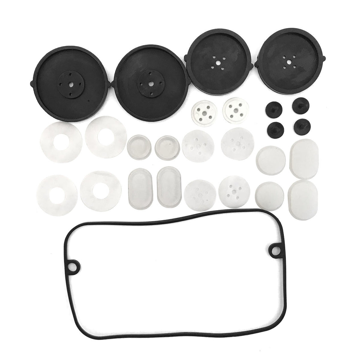 Replacement Diaphragm Kit for AP-20