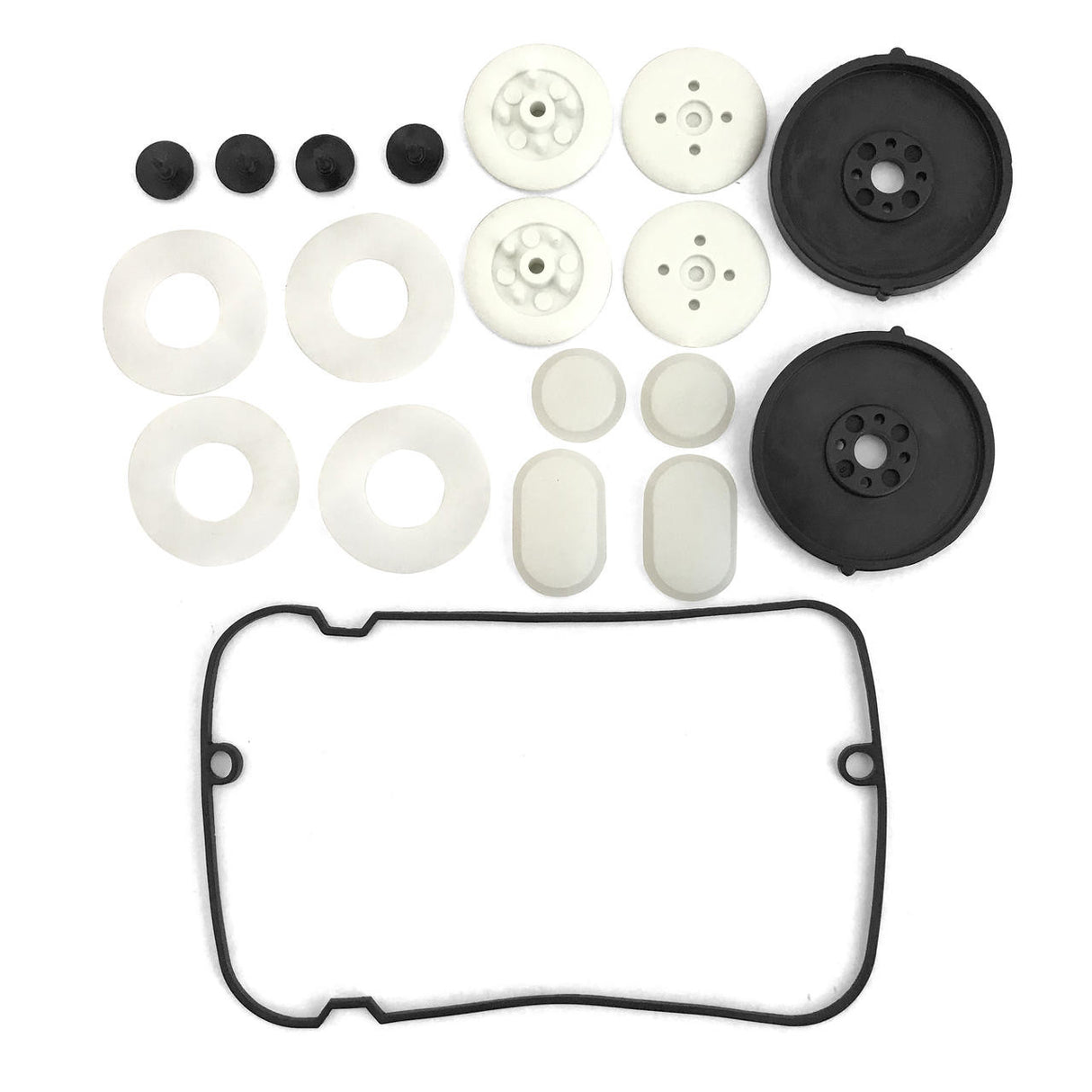 Replacement Diaphragm Kit for AP-60