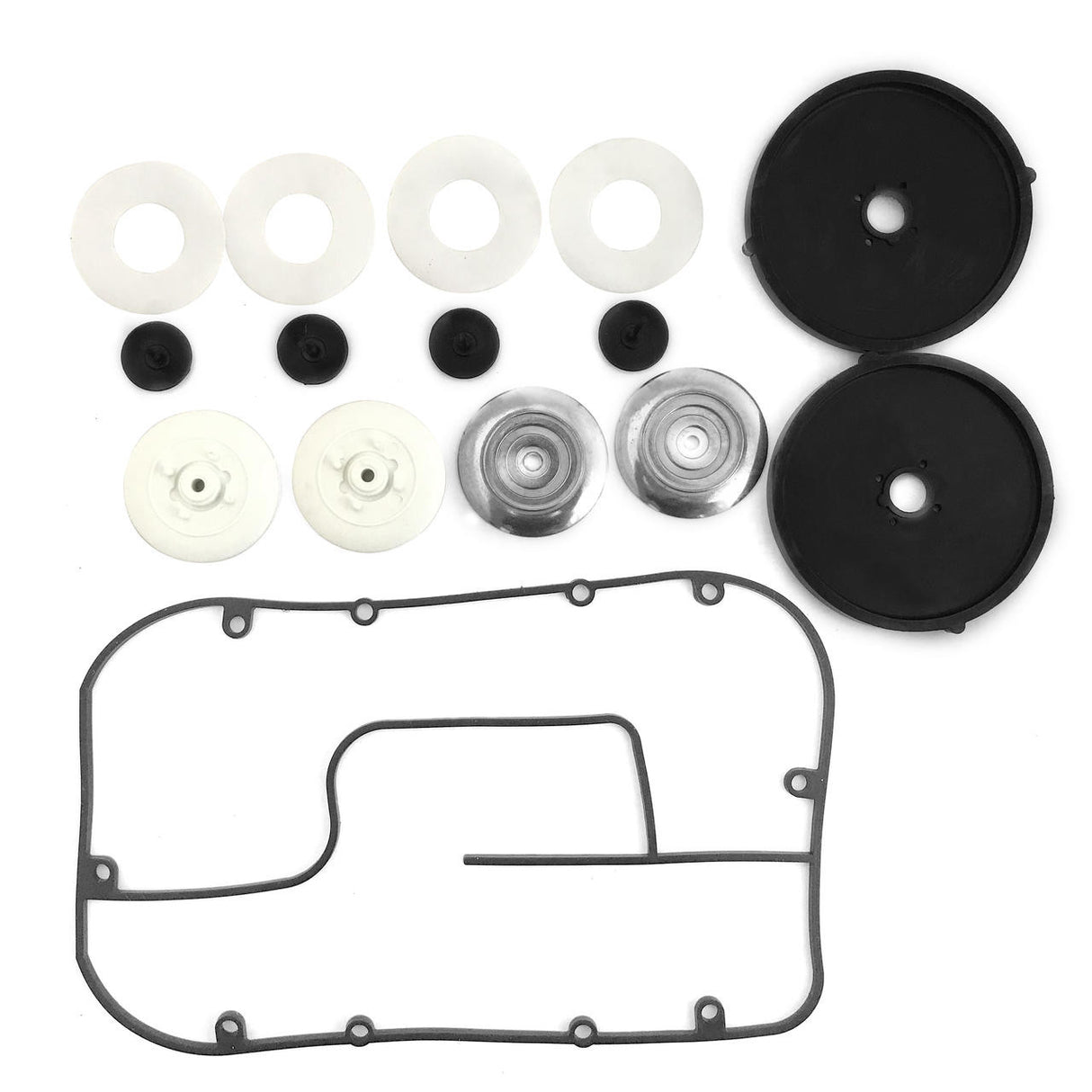 Replacement Diaphragm Kit for AP-100