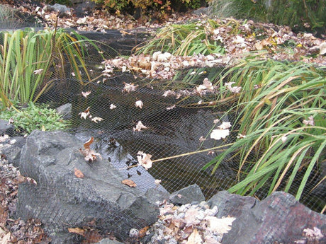 EasyPro 3/4" Mesh Premium Pond & Garden Netting -in use
