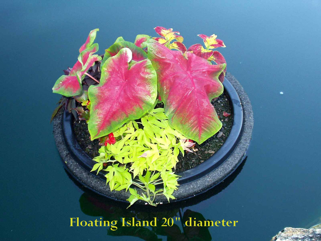 20" Floating Island Pond Planter
