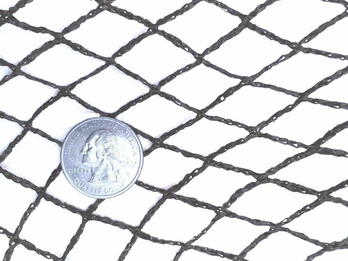 Mesh Size Comparison With Quarter