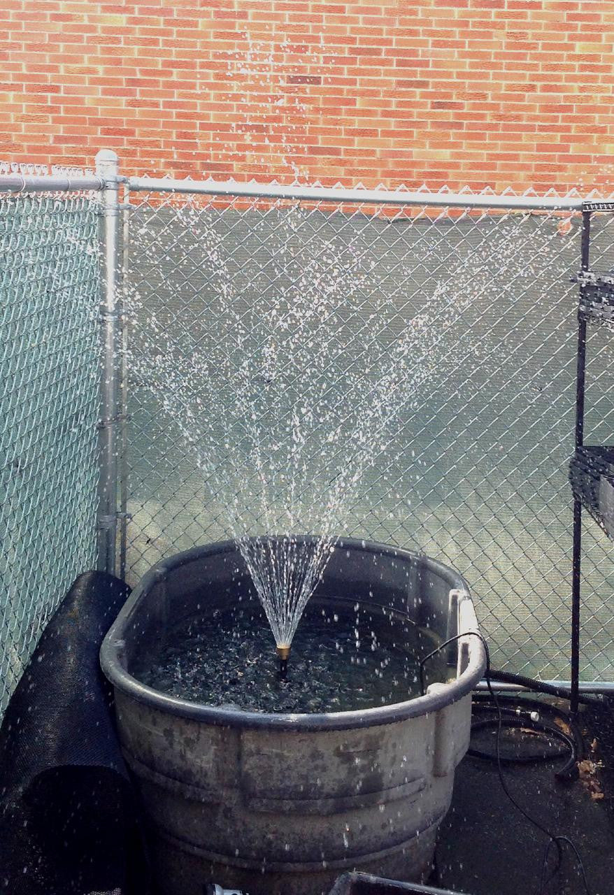 Custom Pro Brass Fountain Head Nozzles