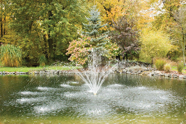 Custom Pro Brass Fountain Head Nozzles