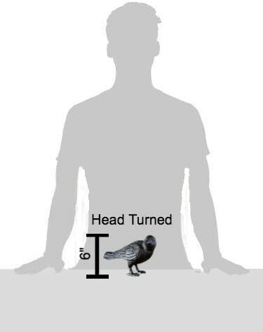 Green Vista Cast Iron Crows