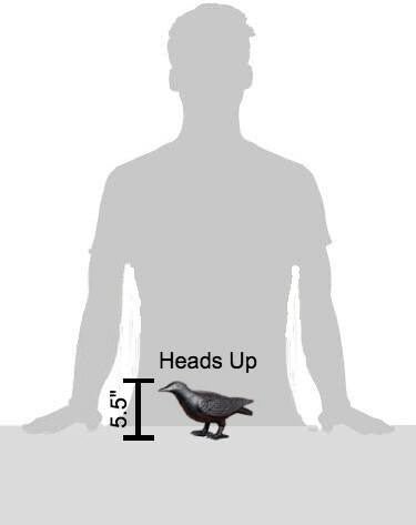 Green Vista Cast Iron Crows