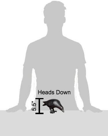 Green Vista Cast Iron Crows