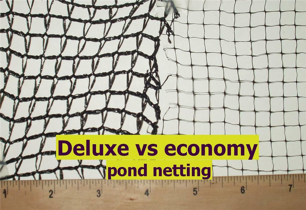 Deluxe vs Economy Netting