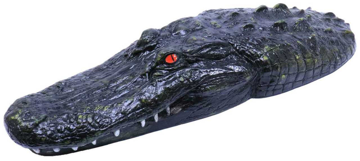Floating Gator Head - Angled View