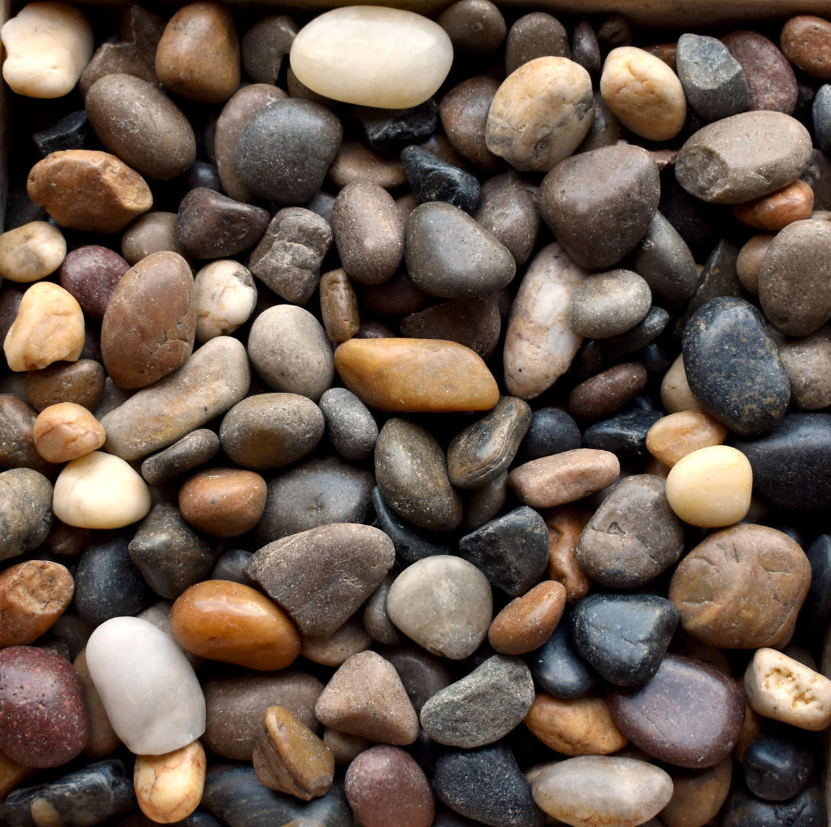 Polished Mixed Imported Beach Pebbles (By the Pallet)