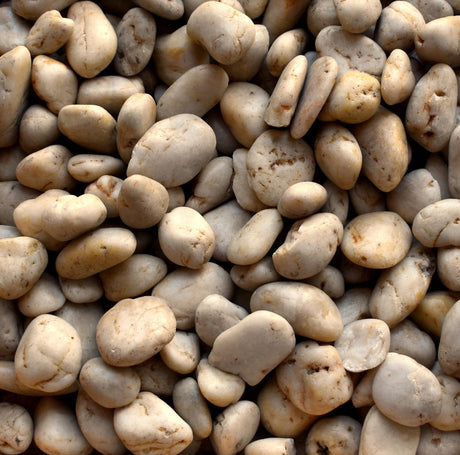 Polished White Imported Beach Pebbles (Sample)