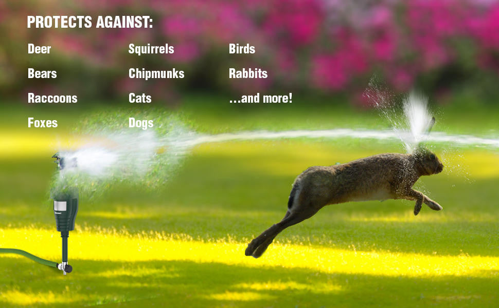 Hoont Water Jet Blaster Animal Repeller