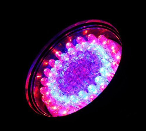 Magic Pond 60 LED Color Changing