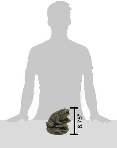 Frog On Leaves Size Comparison